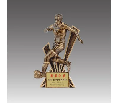 레진트로피 축구