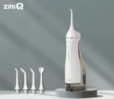 지니큐 ZQ-NA600 휴대용 300ml 구강세정기